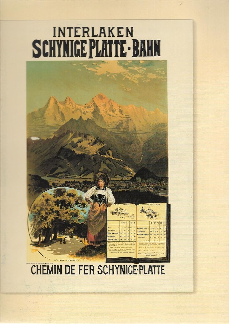 Libri: Interlaken Schynige Platte-Bahn – Usato da Bern venduto da Grindelwaldaus
