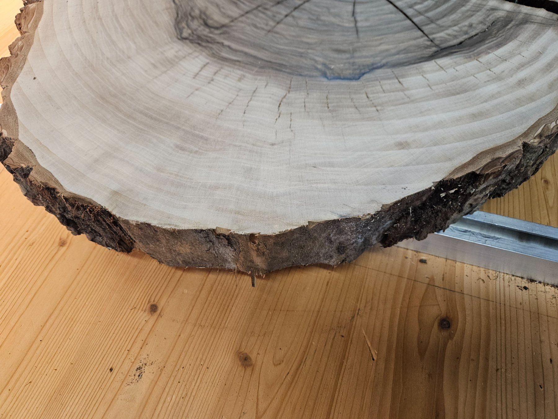 Articoli in legno: Nussbaum Holz Baumscheibe – Nuovo (secondo la descrizione) da Schangnau venduto da egli6.2 1