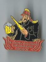 Feuerwehr Dübendorf Pin