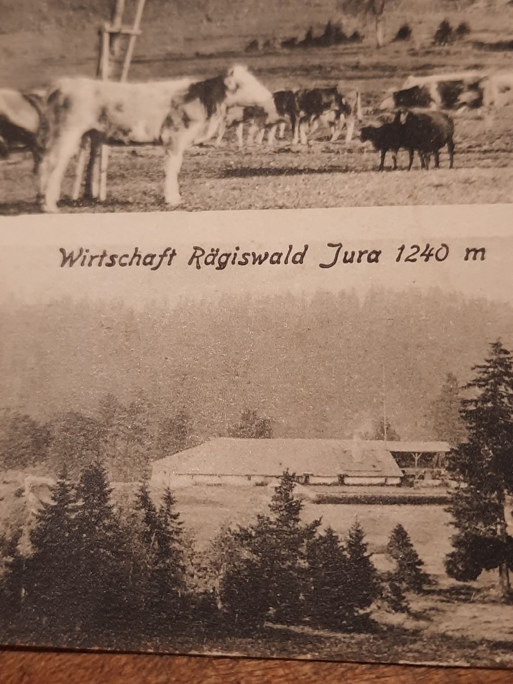 Cartoline postali: antike, rare Karte "Rägiswald" – Usato da Busswil BE venduto da balu37 5