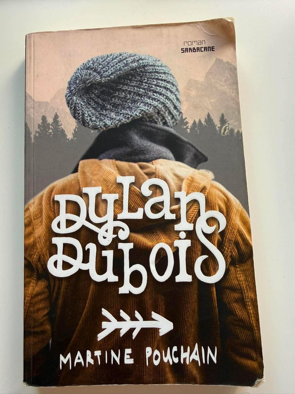 Livres: Livre "Dylan Dubois" – D'occasion à Neuchâtel par Estelle.NE