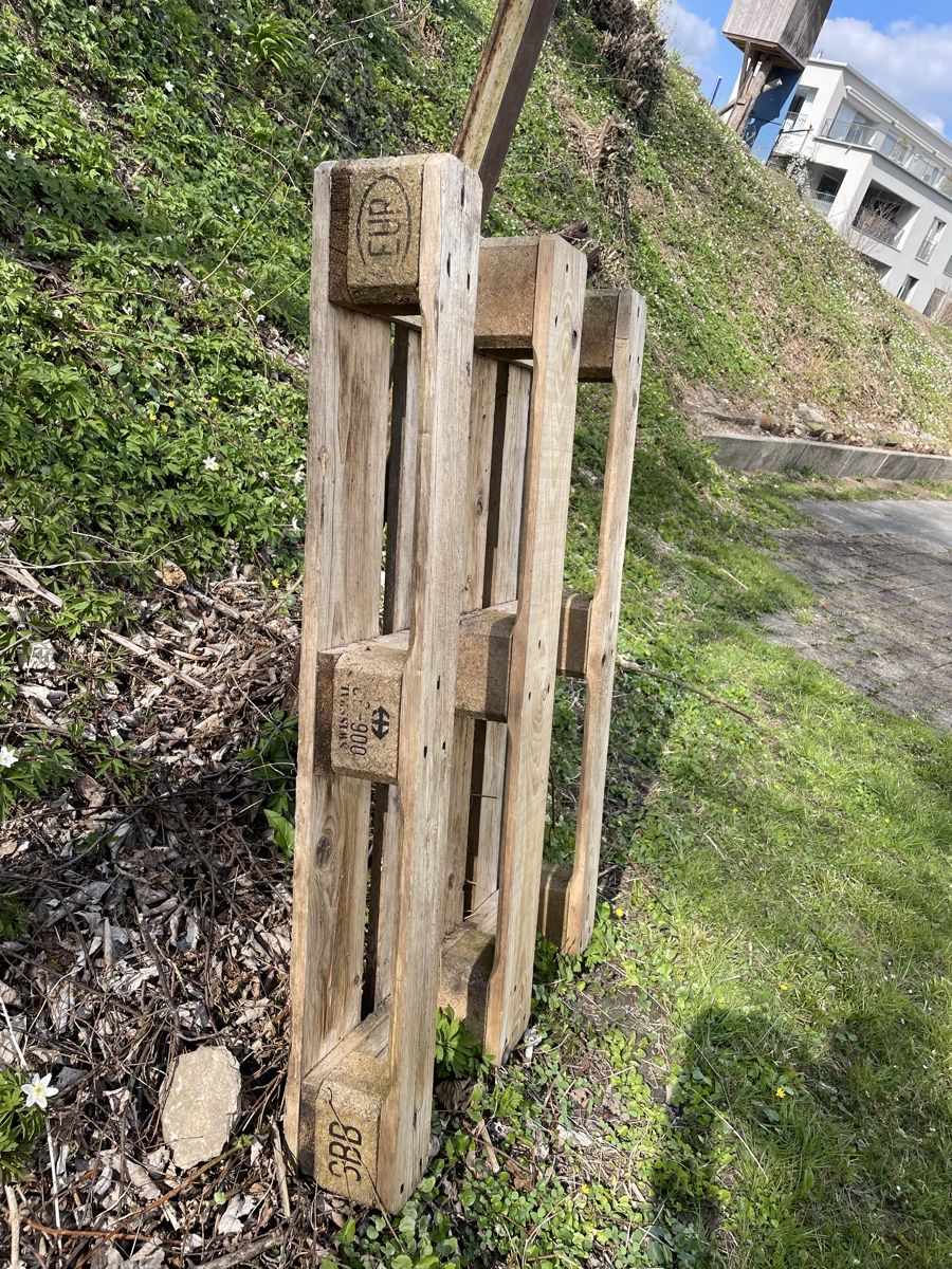 Pallets: Europalette – Usato da Wängi venduto da Thurgauer98 1