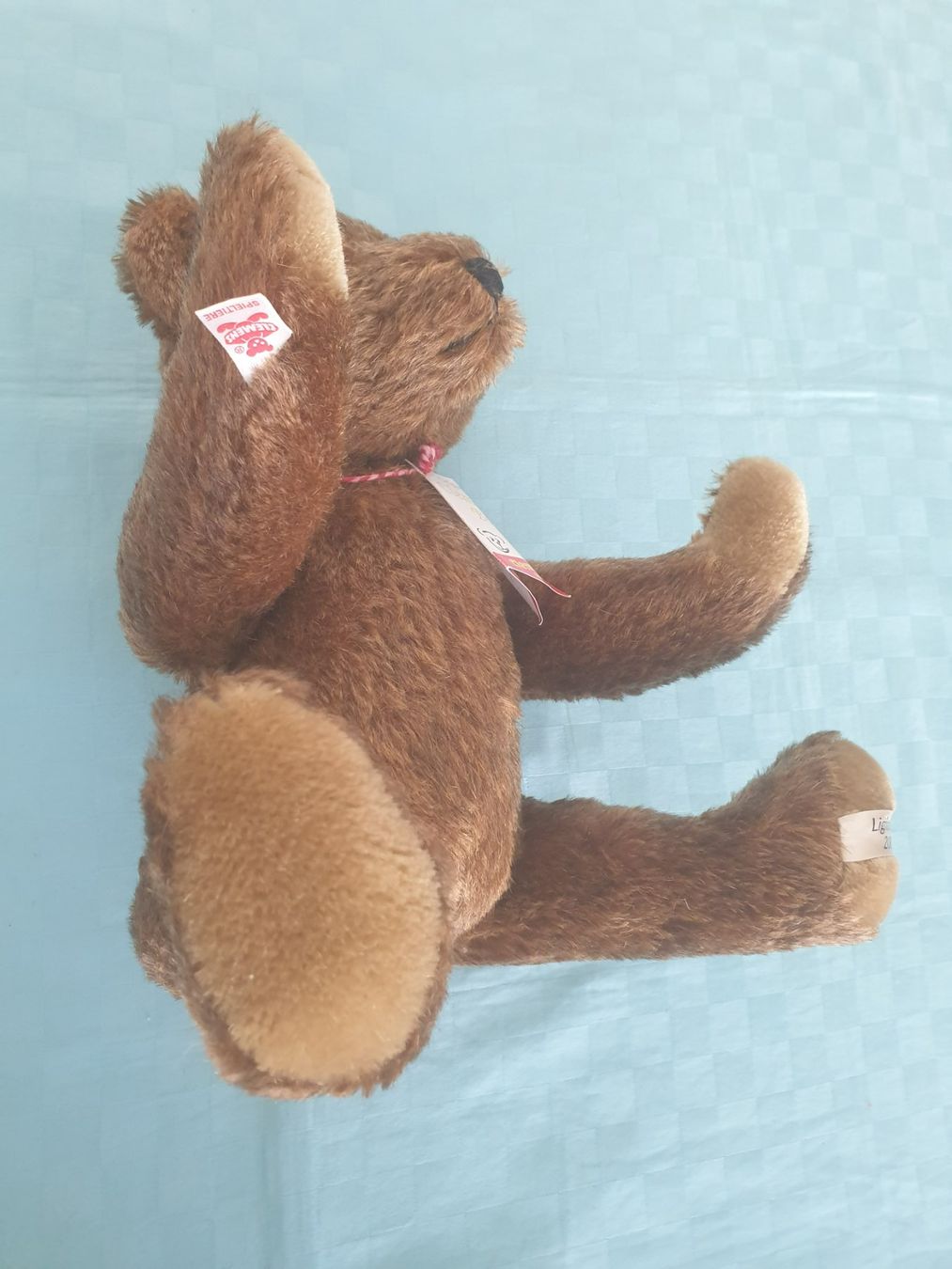 Giocattoli: Teddybär Teddy Clemens – Usato da Mörschwil venduto da spirspi 4
