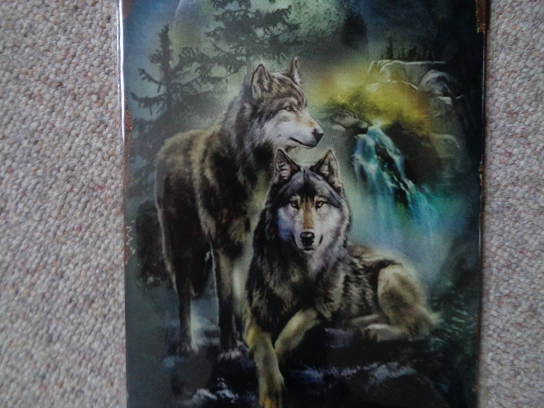 Schilder: Aluschild farbiger Wolf (20x30 cm) – Neu und originalverpackt aus Langenbruck von Gumsi 2