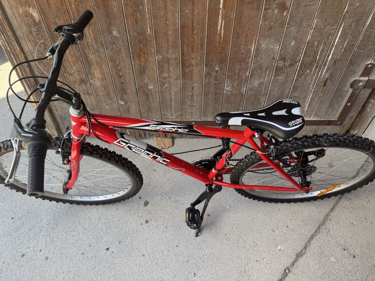Biciclette: Velo 26 Zoll – Difettoso da Bern venduto da puntoevo13 1