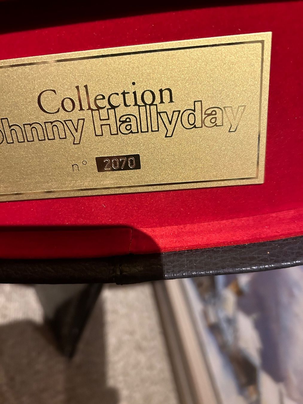 Dischi in vinile: Coffret guitare Johnny Hallyday – Usato da Ravoire venduto da martigny1921 2