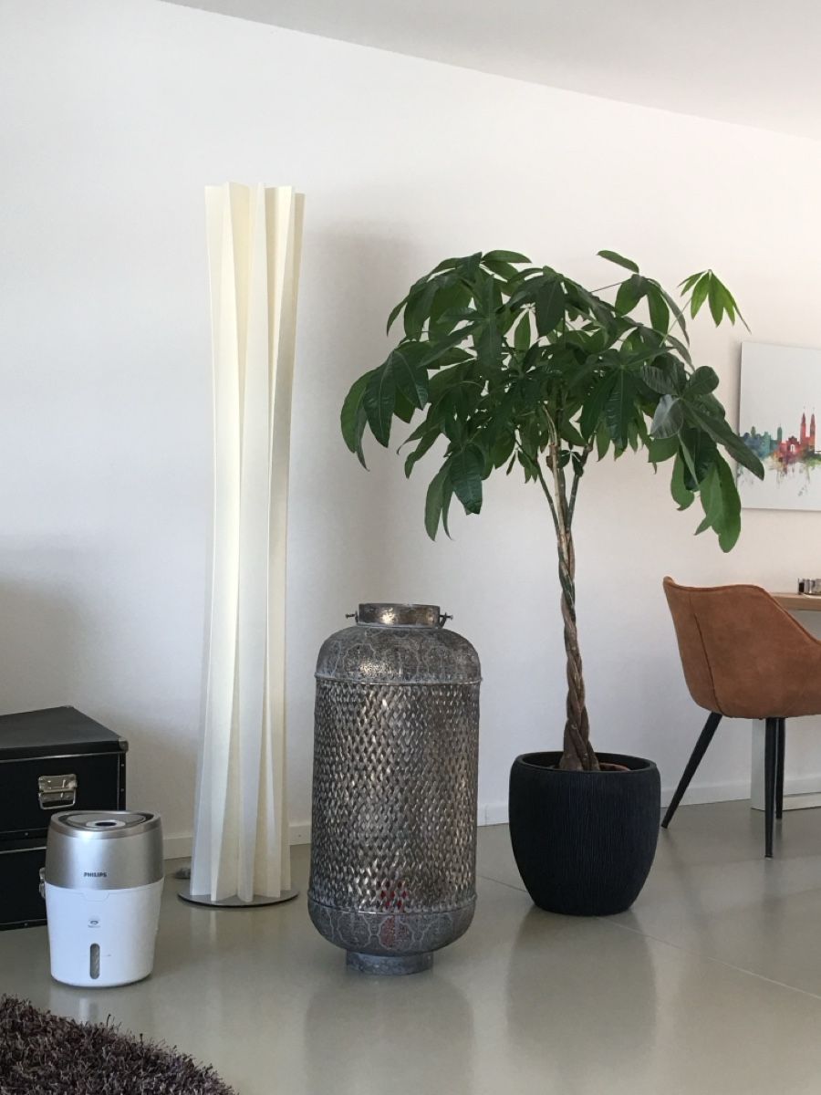 Lampen: Slamp Bach Stehleuchte – Gebraucht aus Zürich von kuckmar 2