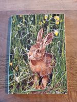 Hübsches, kleines Puzzle au Holz, Hase, 12 Teile