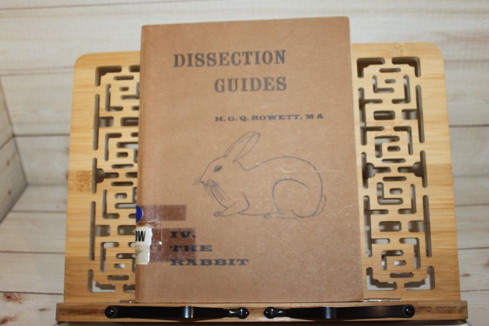 Dissection Guides IV. The Rabbit - H.G.Q.Rowett (Gebraucht) in Urdorf ...