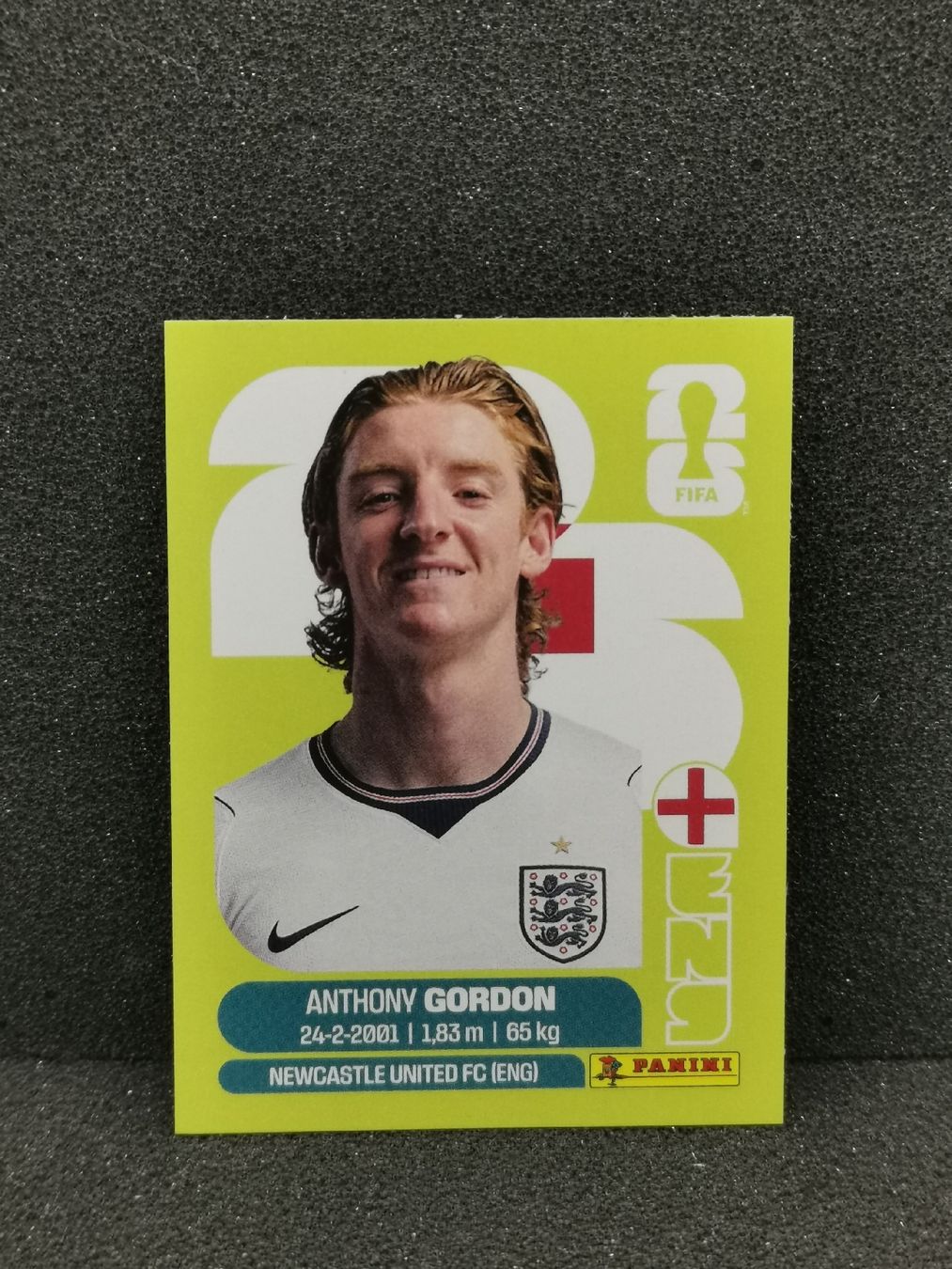 Panini Carte collezionabili: Panini Wm 2026 Sticker :Anthony Gordon Eng 15 – Usato da Einsiedeln venduto da sza_588x