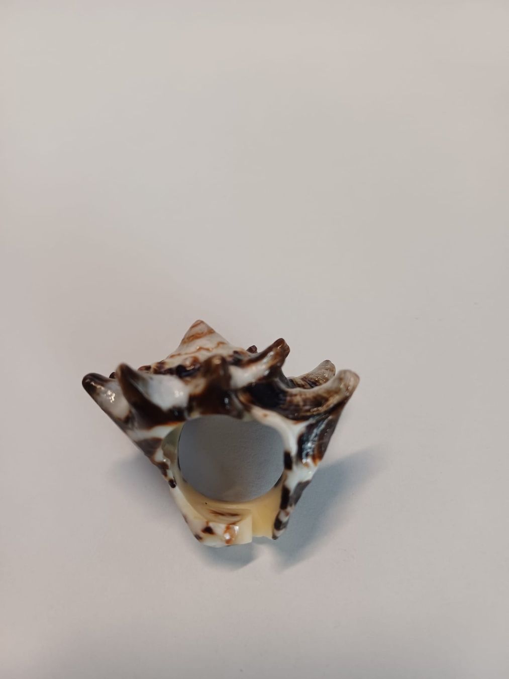 Ringe: Wunderschöner, grosser, echter Muschelring – Gebraucht aus Urnäsch von G.Kertscher 4