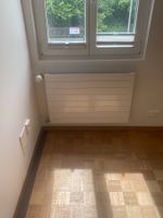 2 x Heizkörper L100 x H60 x B6  (cm)