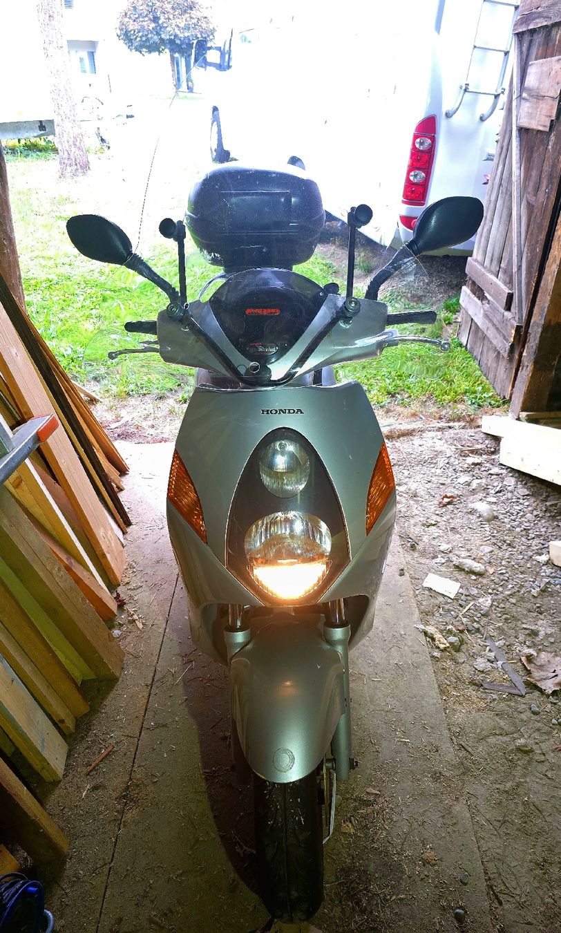 Honda Scooters: Honda NES 125. Frisch ab MFK – D'occasion à Hasle LU par stupero 2