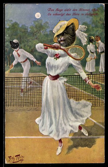 Cartoline postali: Arthur Thiele: Elegante Katzendame spiel – Usato da Berlin venduto da bartko-reher