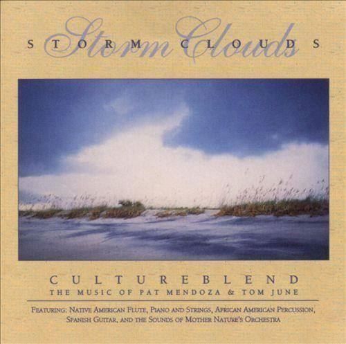 CDs: Pat Mendoza & Tom June "Storm Clouds" Relaxation Nature CD – Gebraucht aus Genève von Cockattoo