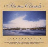Pat Mendoza & Tom June "Storm Clouds" Relaxation Nature CD