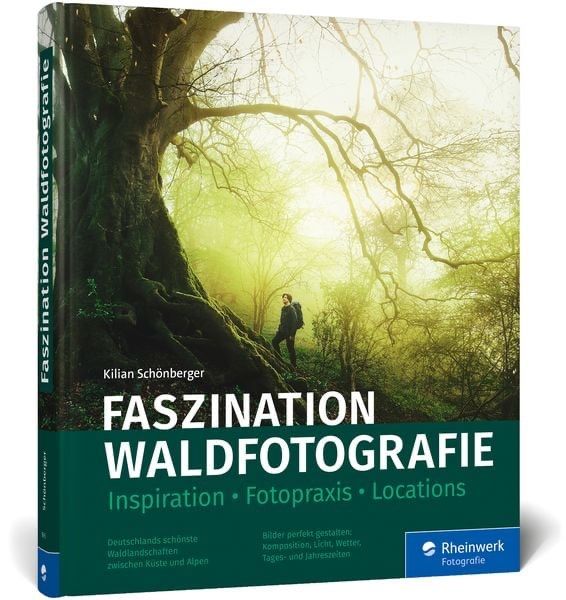 Libri: Faszination Waldfotografie – Nuovo (secondo la descrizione) da Stetten AG venduto da Rvipersnake