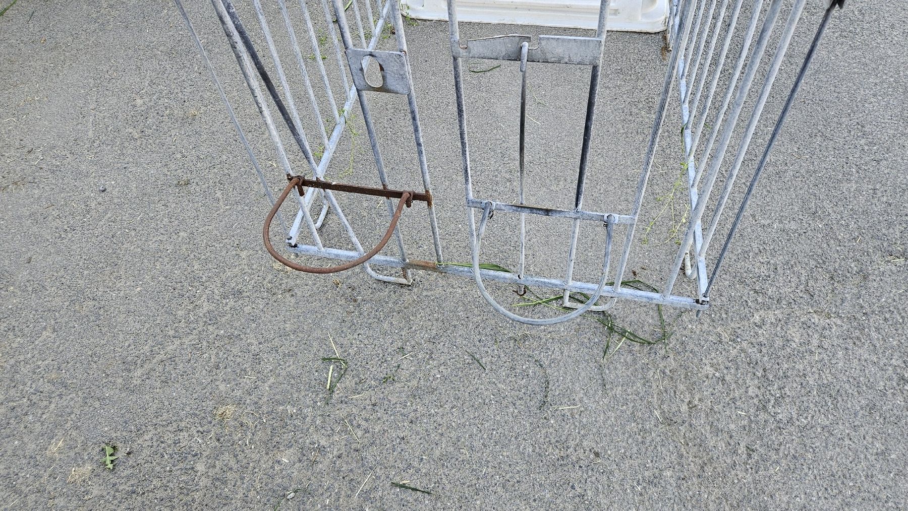 Futter: Kälberiglu – Gebraucht aus Eschenbach LU von VeltenST 3