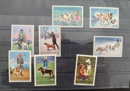 Roumanie série de 8 timbres ** 1982 thème Chiens
