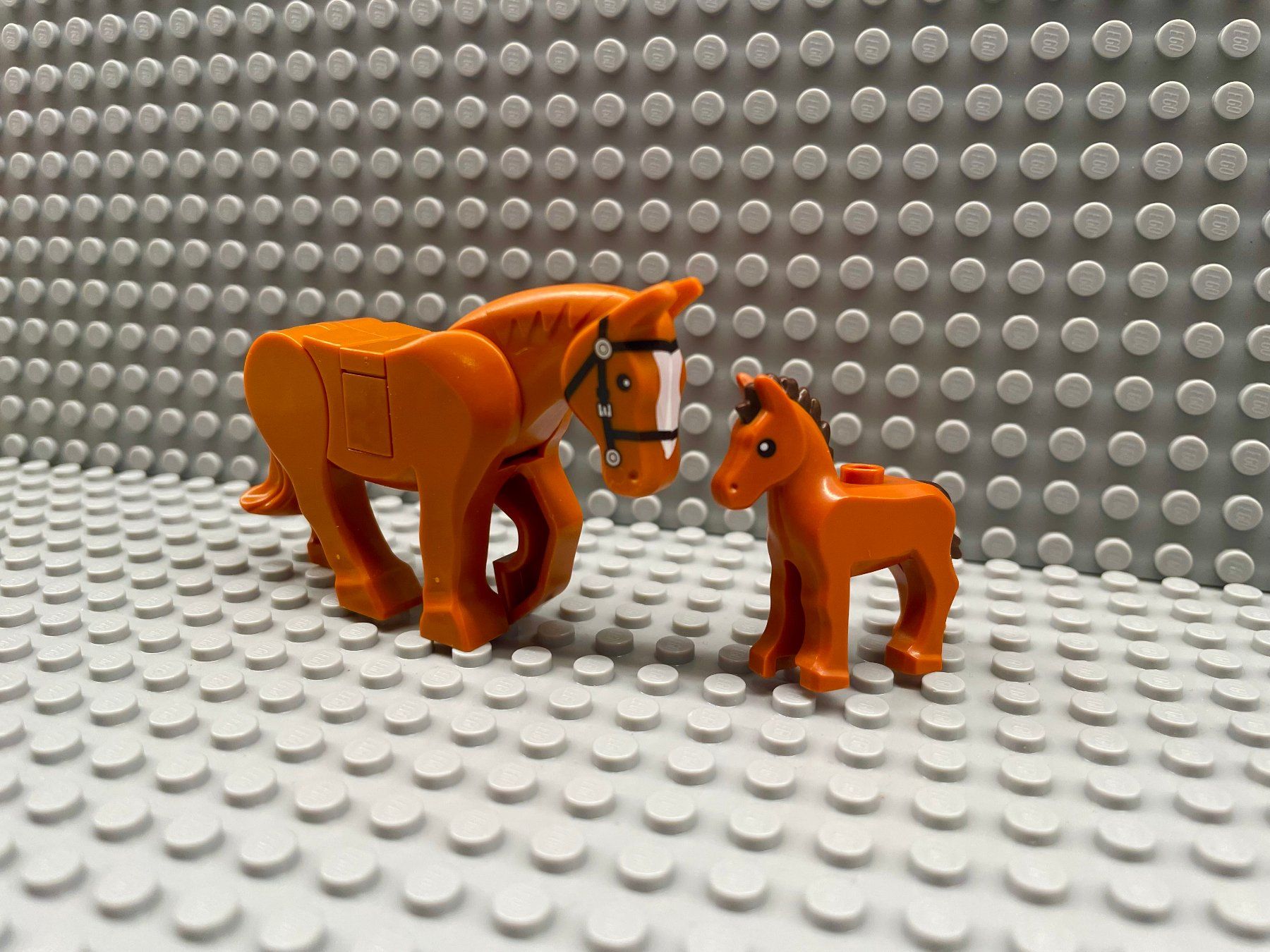 Lego Kit di costruzioni: Lego Tiere Pferd mit Fohlen – Nuovo (secondo la descrizione) da Horw venduto da G39517sG