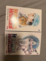 Hunter x Hunter Band 32 & 34