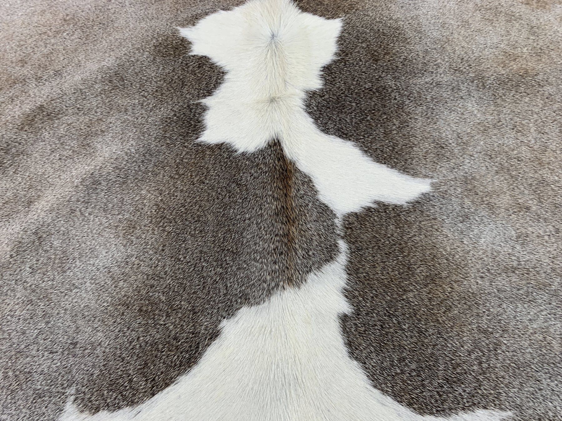 Tappeti: echtes Kuhfell Teppich Grey/White – Nuovo e nell'imballaggio originale da Arbedo venduto da patagonialeatherrugs 2