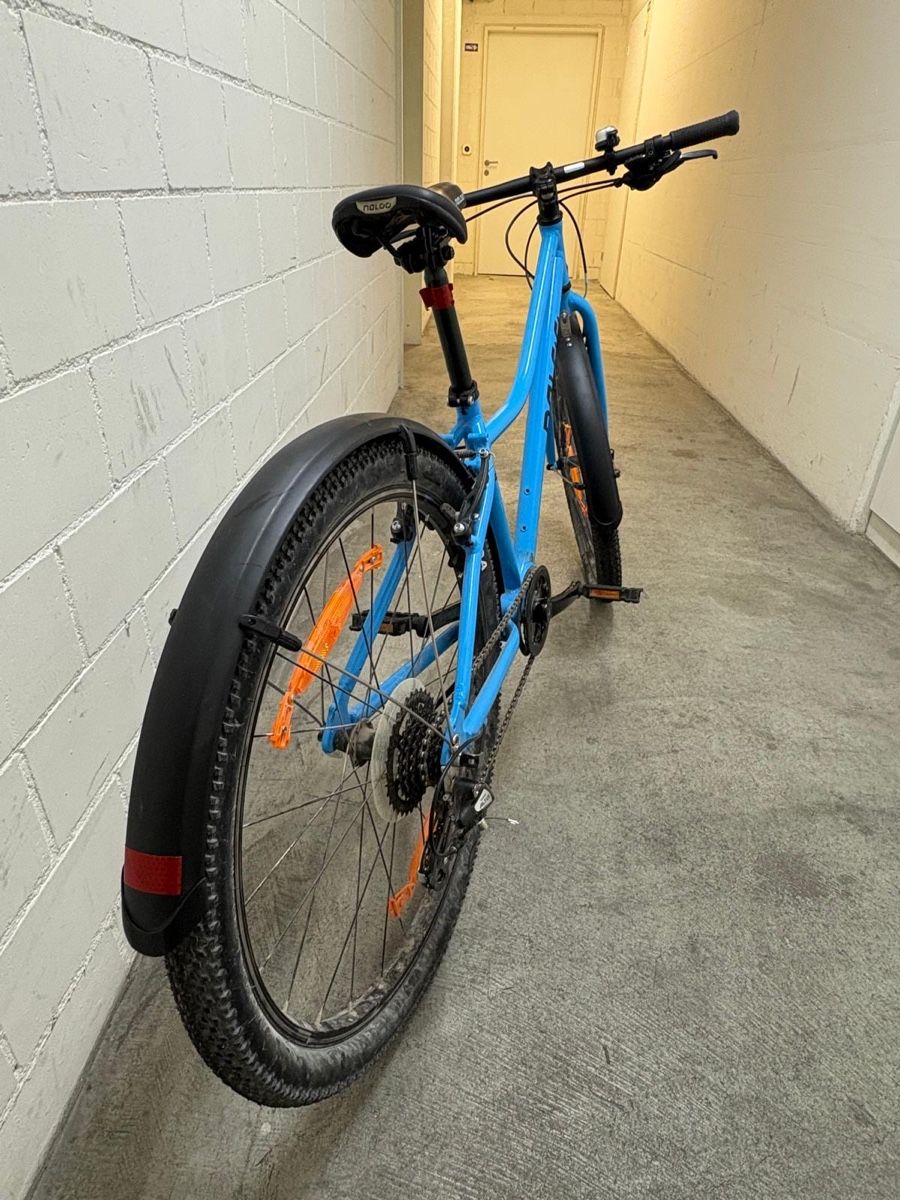Naloo Velos: Naloo 26 Zoll – Gebraucht aus Zürich von stellina222 1