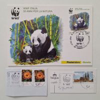 Thematika Panda Bär