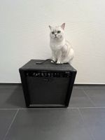 Harley Benton HB-40B Bass Verstärker