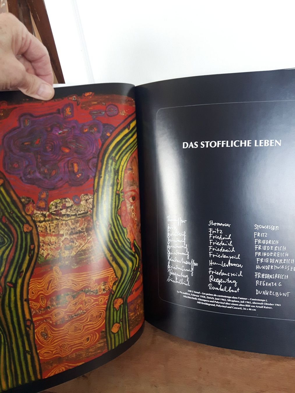 Bücher: Hundertwasser - Harry Rand, Taschen, Kunstbuch – Gebraucht aus Beckenried von SylvkensWorld 1