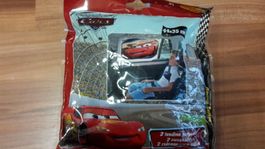 Autosonnenschutz Cars