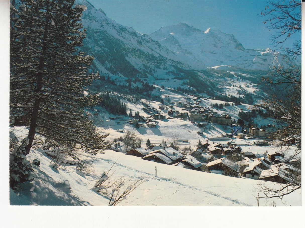 Cartes postales: Wengen 1984 – D'occasion à Bürglen TG par StampGraf