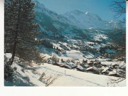 Wengen 1984