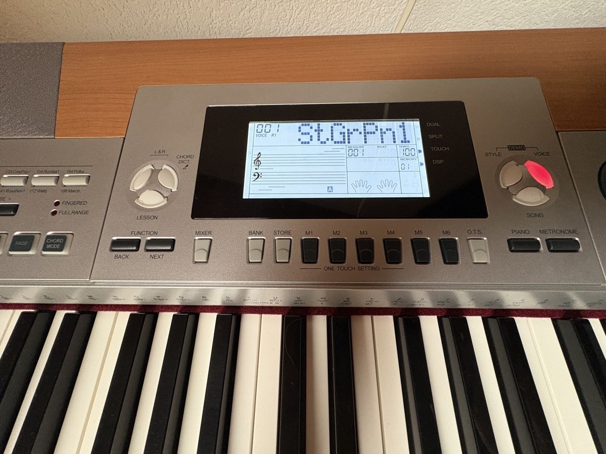 C.Giant Strumenti musicali: ePiano C.Giant – Usato da Grenchen venduto da Schwasie1 4