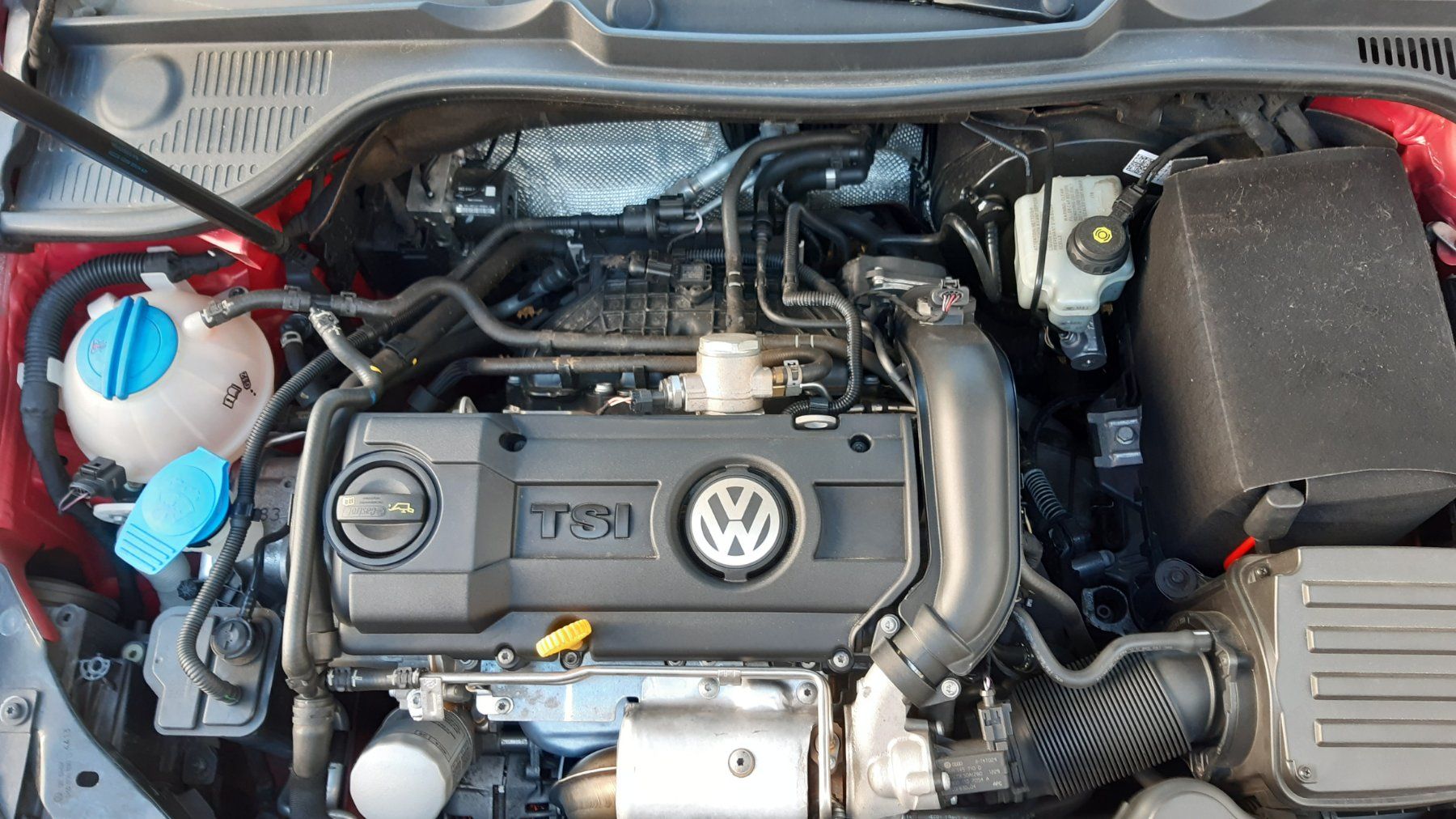 VW Automobili: VW Golf Cabriolet 1.4 TSI Design – Usato da Ehrendingen venduto da Brixli 6
