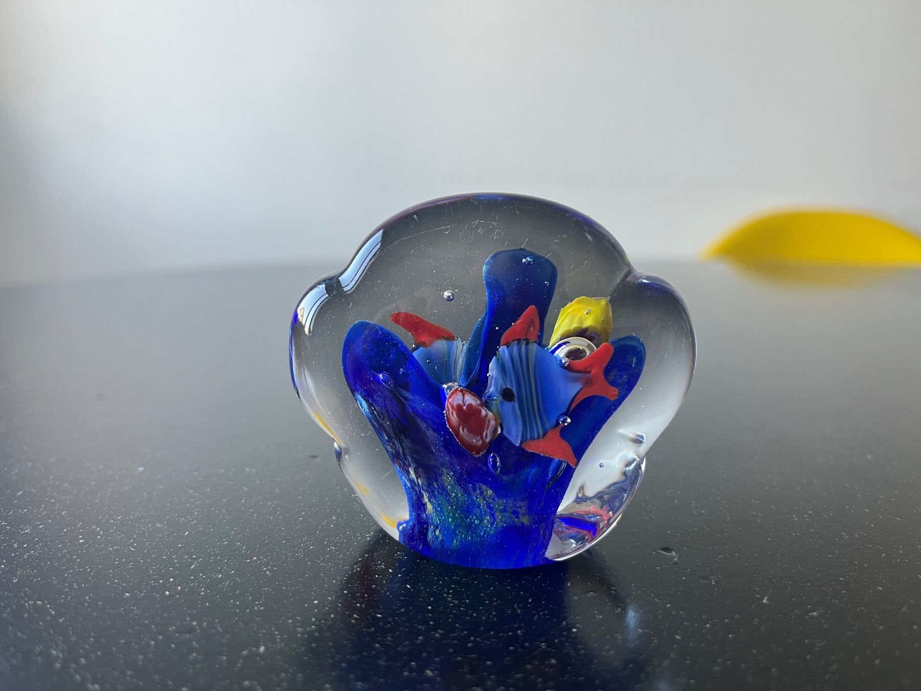Murano Bicchieri: Murano Aquarium-Briefbeschwerer – Usato da Zürich venduto da omni64 2