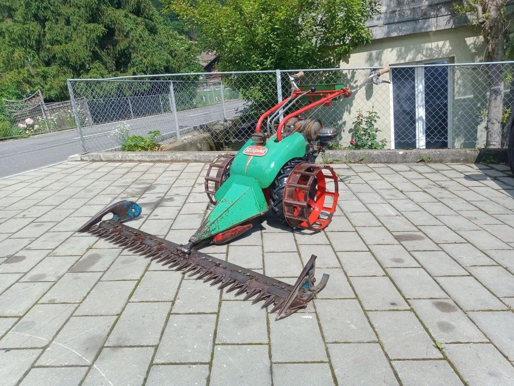 Rapid Rex Kaufen auf Ricardo