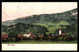 AK Oberbipp, Ort mit Kirche, Obstgarten und Hügeln