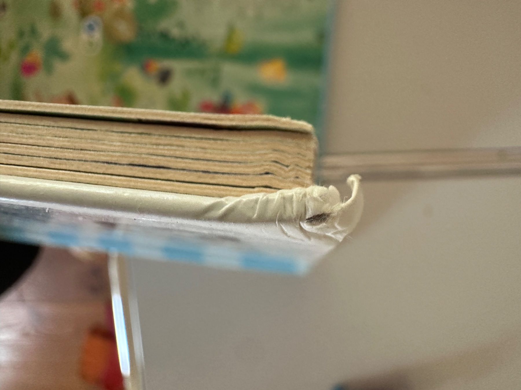 Livres: Tiptoi Create Buch Schatzsuche im Dschungel – D'occasion à Laufen par nborer 3