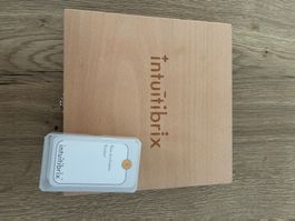 Holzspiel Intuitibrix Zahlen Lernspiel Holzbox guter Zustand