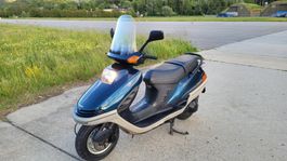 Honda CH250 Freeway