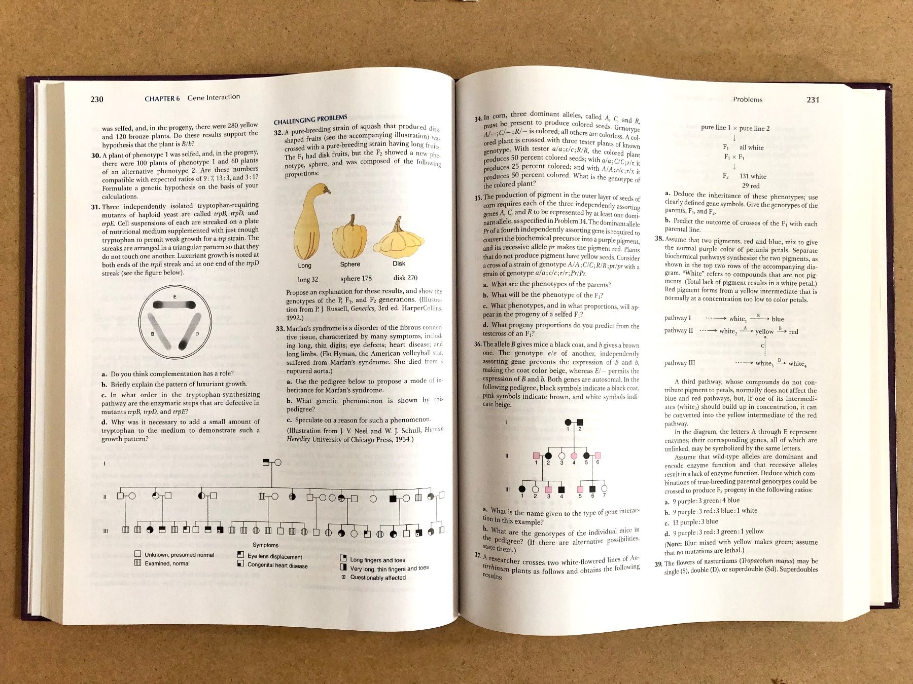 Bücher: Introduction to Genetic Analysis | Biologie | Studium | Book – Gebraucht aus Küblis von AlpinePro_GR 4