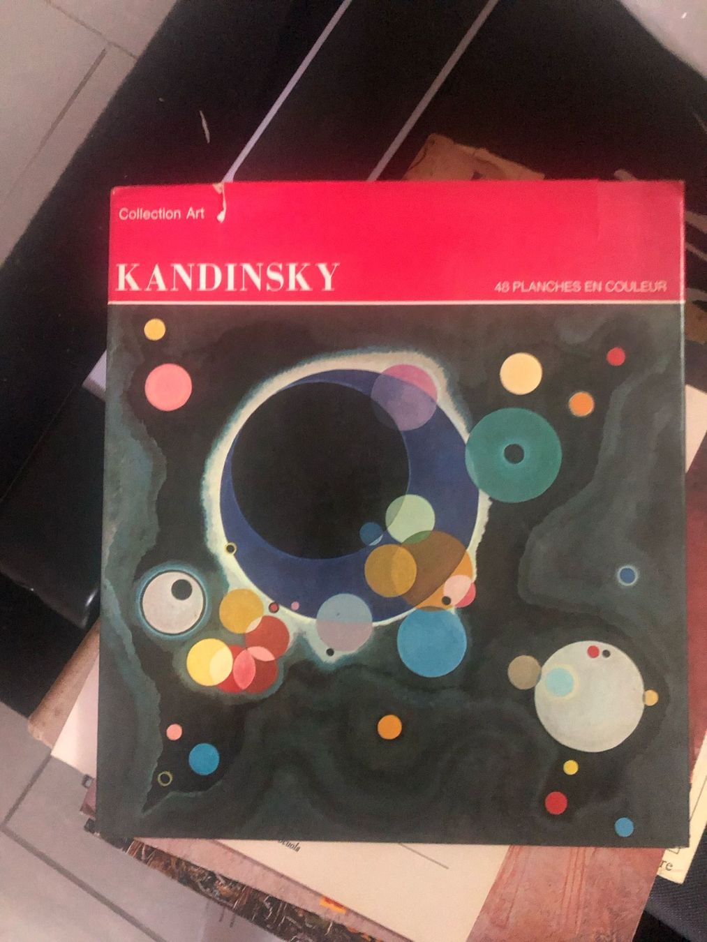 Bücher: Kandinsky - livre avec 48 planches en couleur – Gebraucht aus Camorino von Vasal