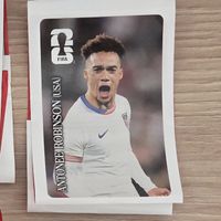 WM Cola Panini Antonee Robinson (USA)