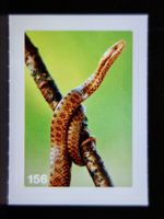 MIGROS MANIA Nature Detectives Nr. 156
