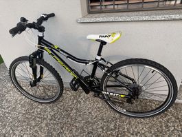 Mountain Bike nera, in buone condizioni!