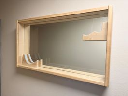 Vitrine für E-Gitarre