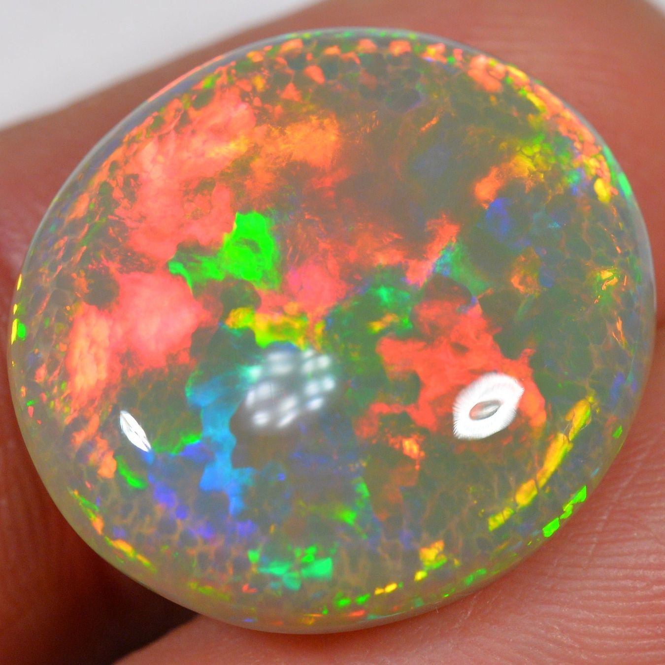 Edelsteine: 19.1 Karat - Exquisite Dunkler Äthiopischer Welo Opal – Neu (gemäss Beschreibung) aus Rüti ZH von DeinOpal 1