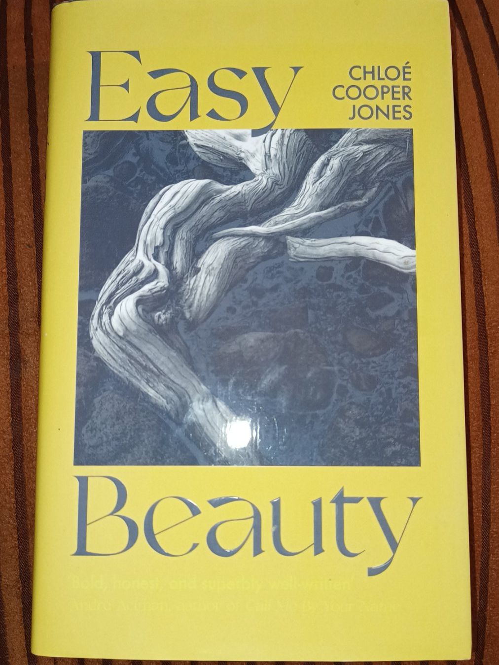 Libri: Easy Beauty/ Chloe Cooper Jones – Usato da Basel venduto da ann_frw2