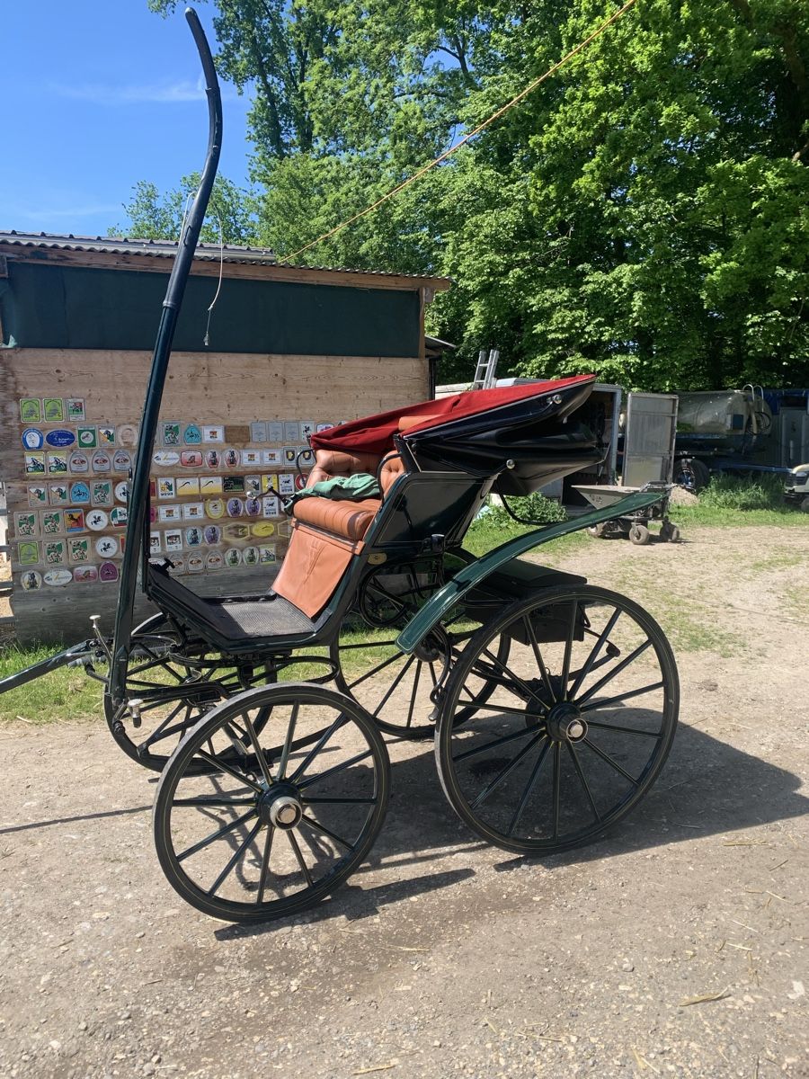 Carrozze: Doktorchaise – Usato da Romanshorn venduto da Soty